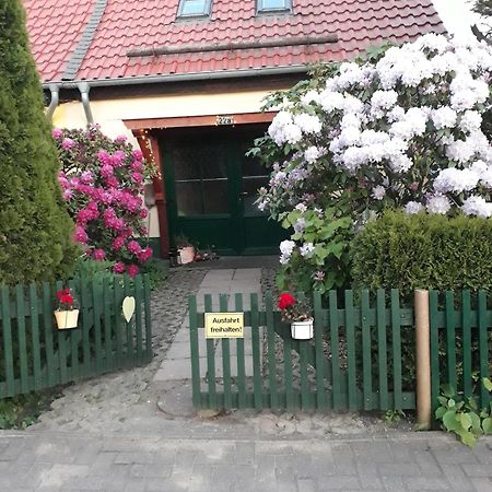 Harzglueck Villa Thale Luaran gambar